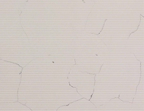 Bianca Cararra QH107