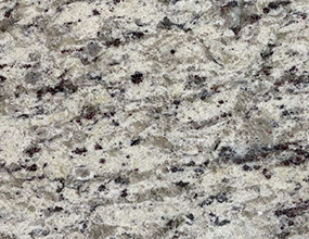 New White Rose - Flat Edge only