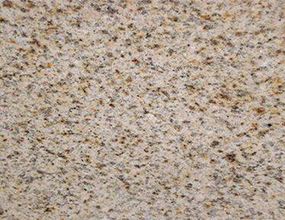 Sandy Gold - Bullnose/Flat Edge