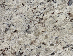 White Rose - Bullnose/Flat edge