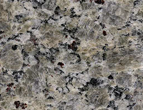 Yellow Butterfly - Bullnose only